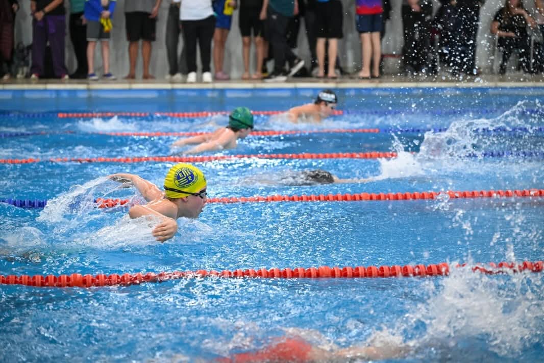Torneo Provincial de Natación en Cutral Co