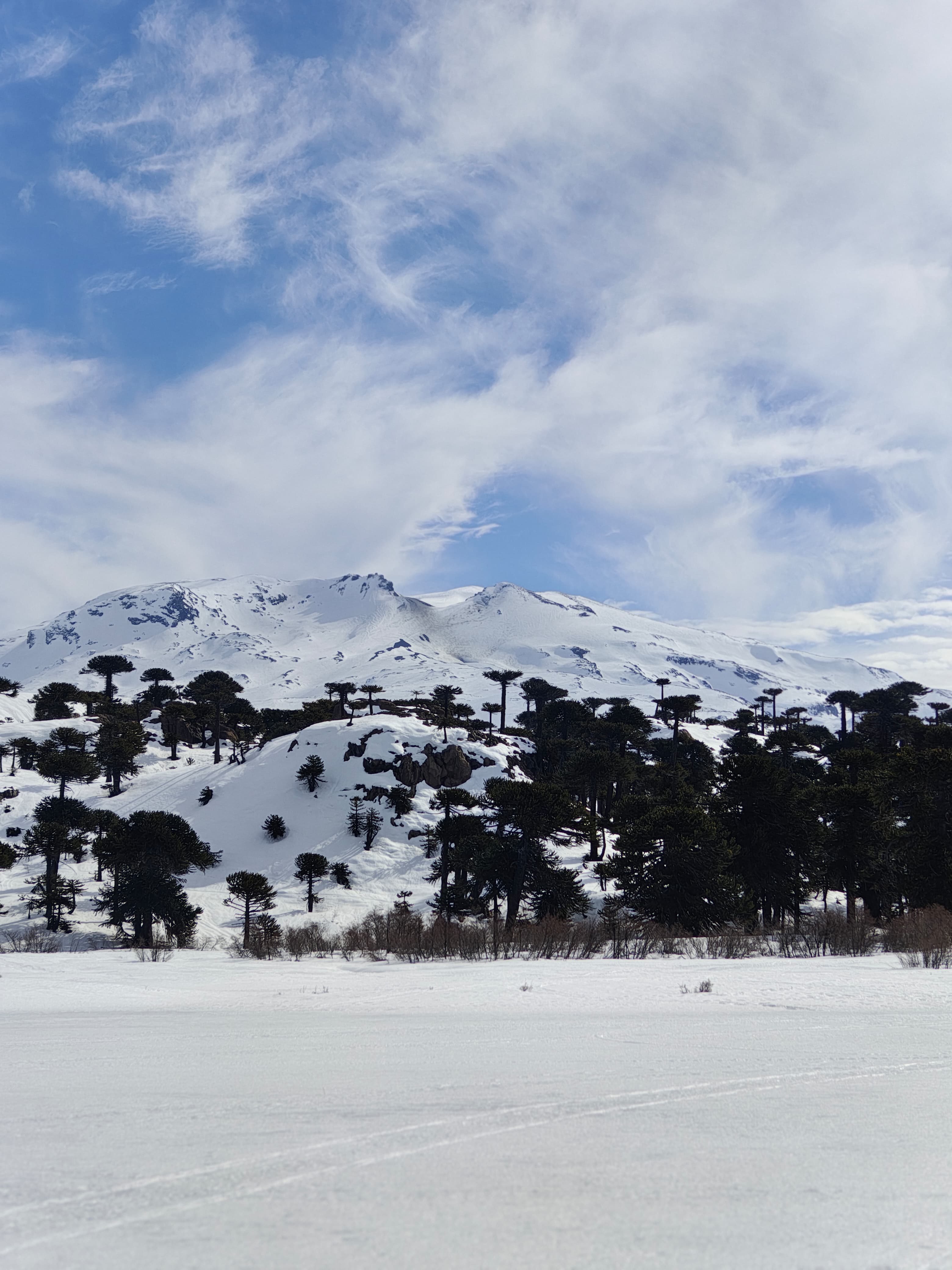 Volcán Copahue, seleccionado entre las cinco montañas que representarán a la Argentina