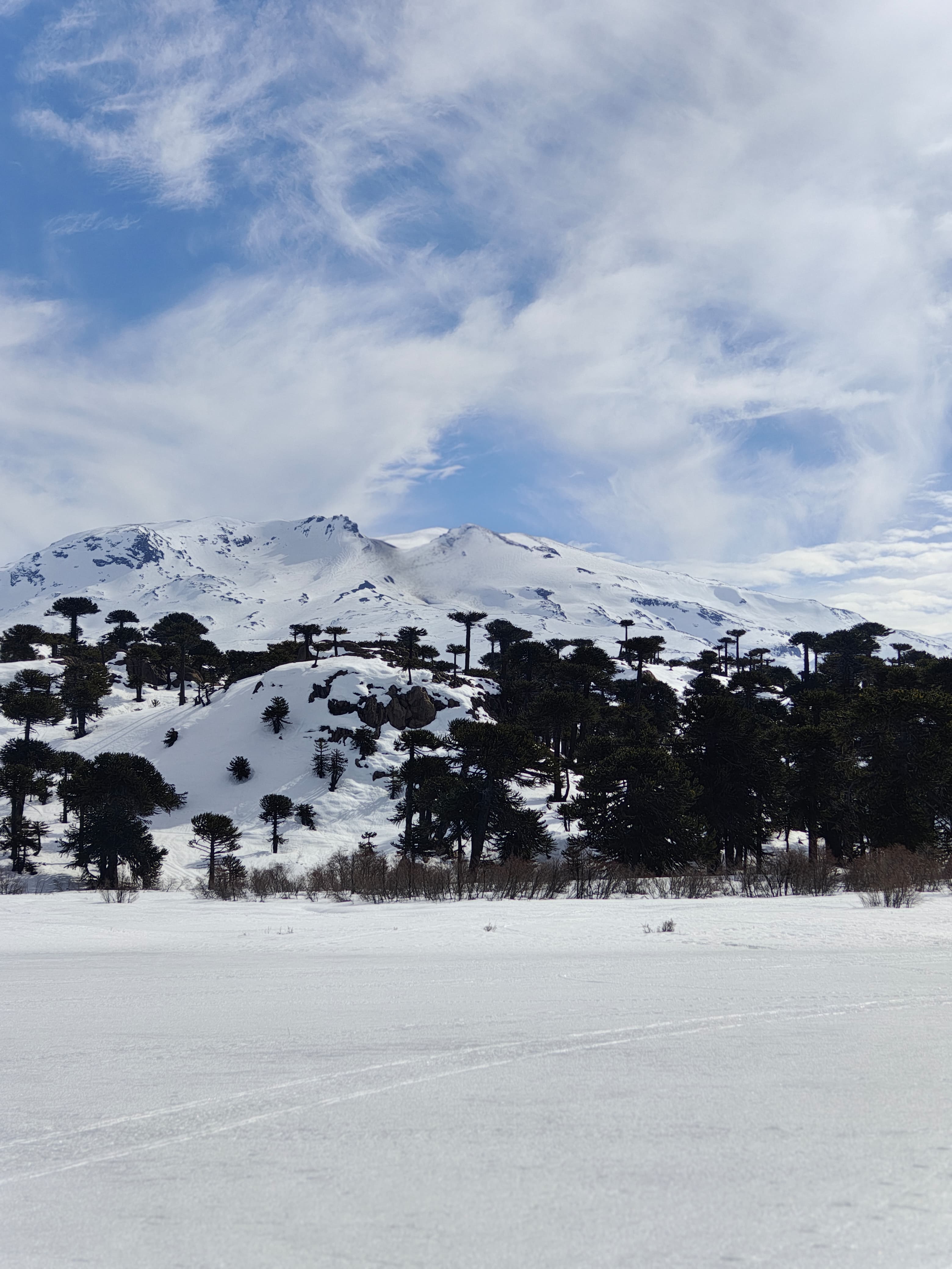 Volcán Copahue, seleccionado entre las cinco montañas que representarán a la Argentina