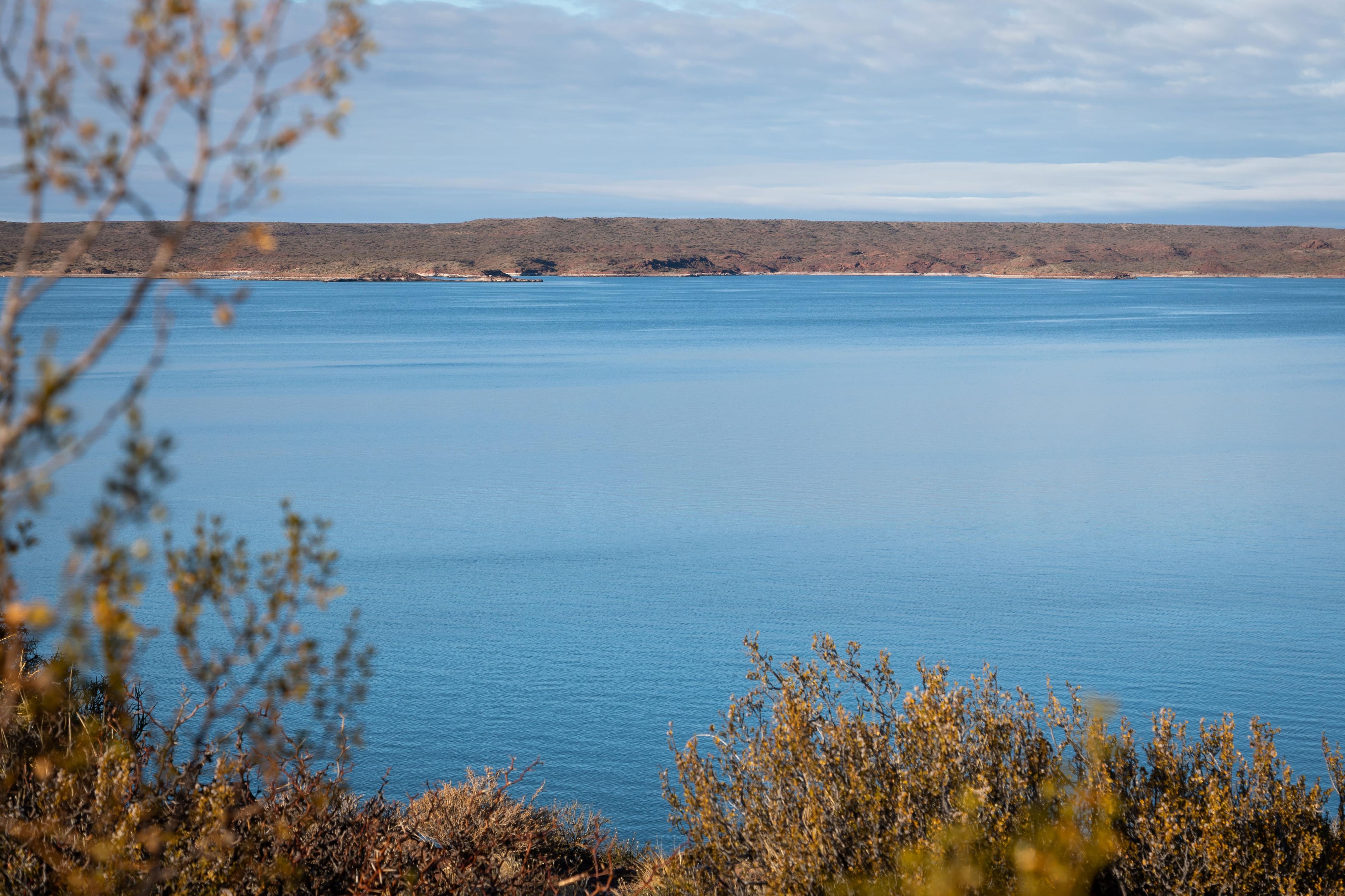 Denuncian una posible contaminación del lago Ezequiel Ramos Mexía en Picún Leufú